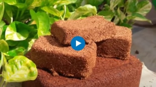 Use coco peat to flower your home garden