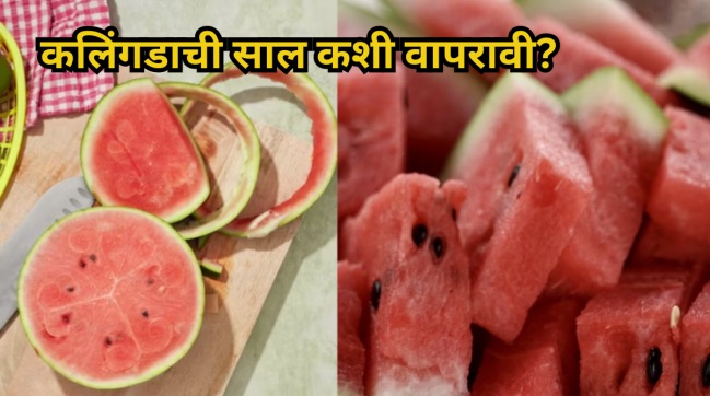 Watermelon peel benefits do no through watermelon peel know how to use watermelon peel