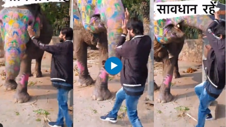Viral video Elephant sends man flying after he gets too
