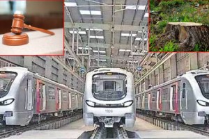mumbai, MMRCL, Mumbai Metro Rail Corporation, Colaba Bandra Seepz, Metro 3, Replant Trees 119 , out of 257, Project, environment,