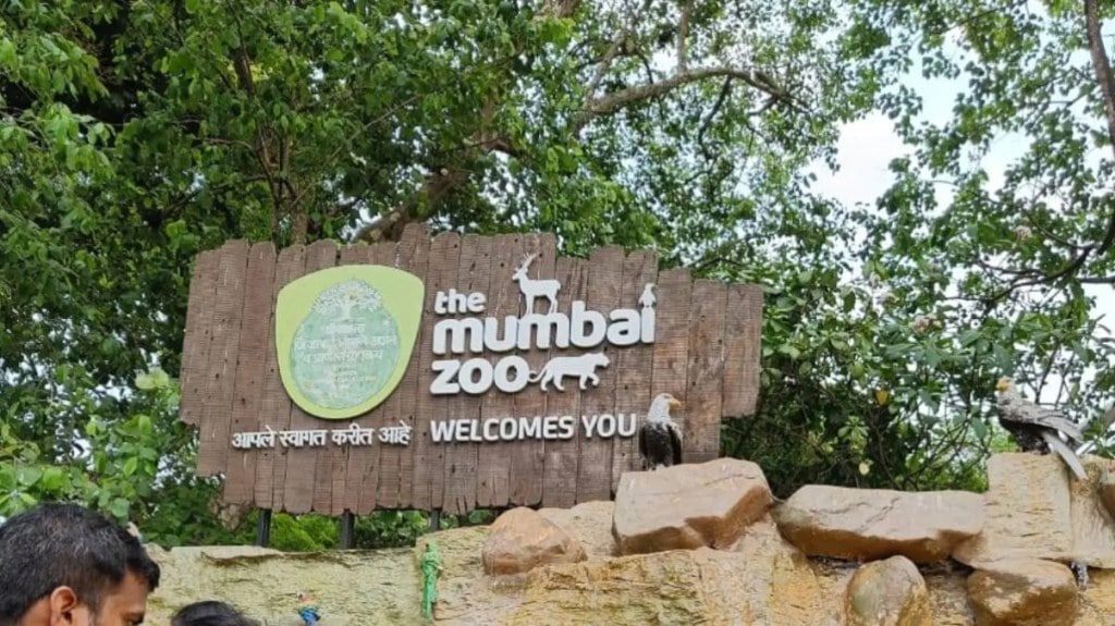 animals dying in mumbai zoo due to organ failure
