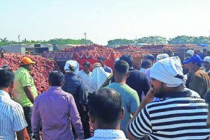 Central government decision to maintain export ban indefinitely to keep domestic onion prices under control