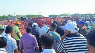 Central government decision to maintain export ban indefinitely to keep domestic onion prices under control