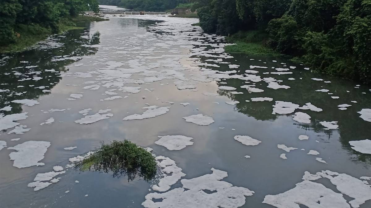pavana river become most polluted river in india