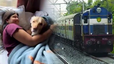 Pune Railway Station, Increase, Pet Transport, 1000 Animals Transported, January and February 2024, marathi news, train, indian railway, journey, dog, cat, paws, puppy, kitten,