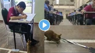 Kitten grabs identity card of a student at exam hall