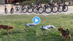 when real dog face robo dog watch Funny incident