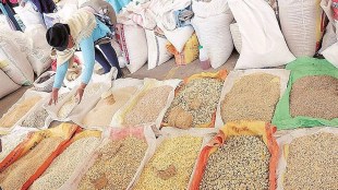 Indian seed industry turnover of rs 30 thousand crore