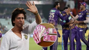 IPL 2024 Shah Rukh Khan owner of kkr team know his income from ipl matches