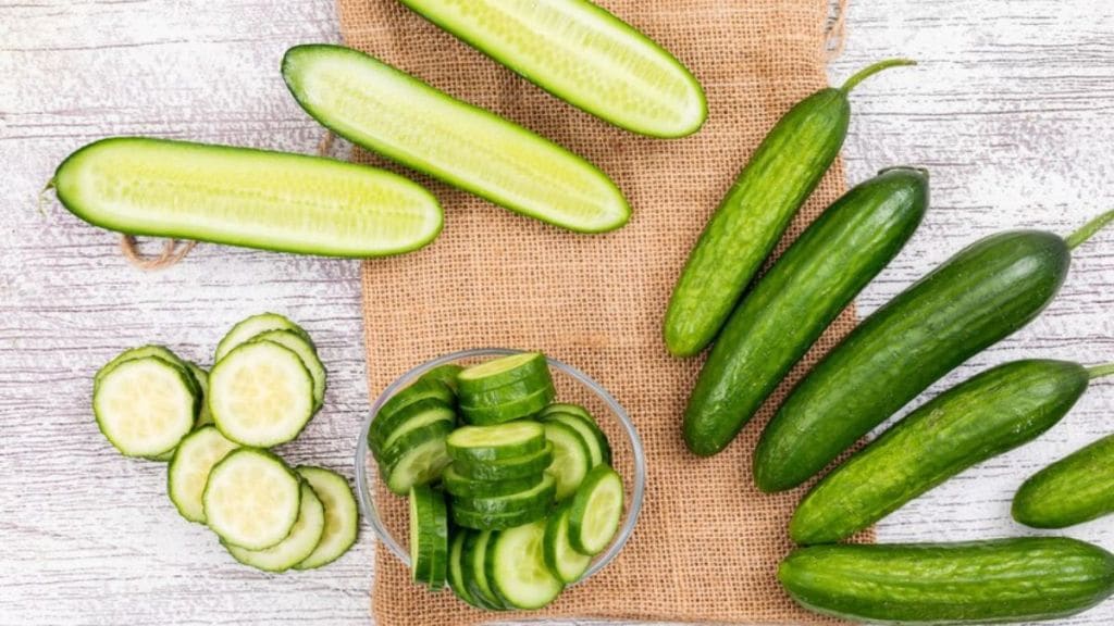 summer special cucumber chaat recipe
