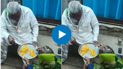 याला म्हणतात खरं प्रेम! एका ताटात जेवणाऱ्या आजी-आजोबांचा व्हिडीओ पाहून नेटकरी झाले भावूक