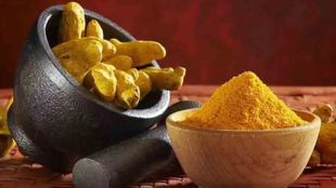 Highest price of 32 thousand for turmeric in Sangli