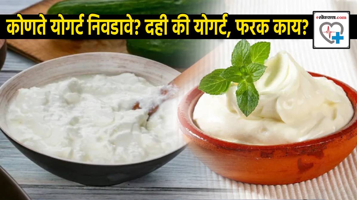 Eating Yogurt Daily Cure Diabetes Type 2 Risk US FDA Important Decision Difference Between Curd And Yogurt How To Choose Calories
