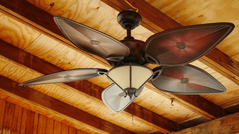 how to deal with ceiling fan irrtating noise problem