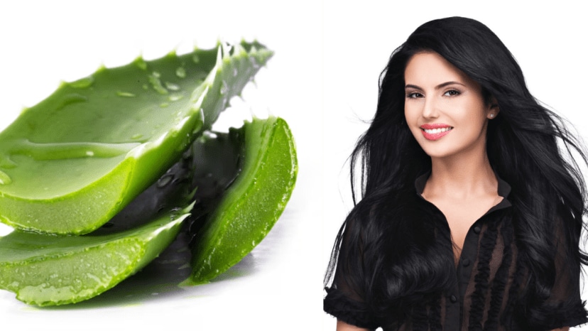 How to use aloe vera gel for hair regrowth long hair home remedies