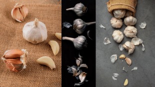 Not only garlic its peels are also amazing for health