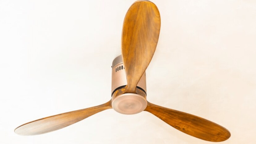 how to deal with ceiling fan irrtating noise problem