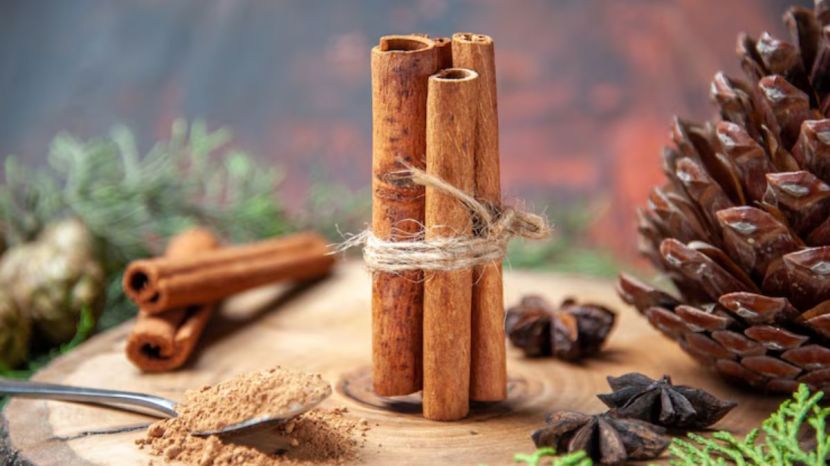  which spice is good for health 