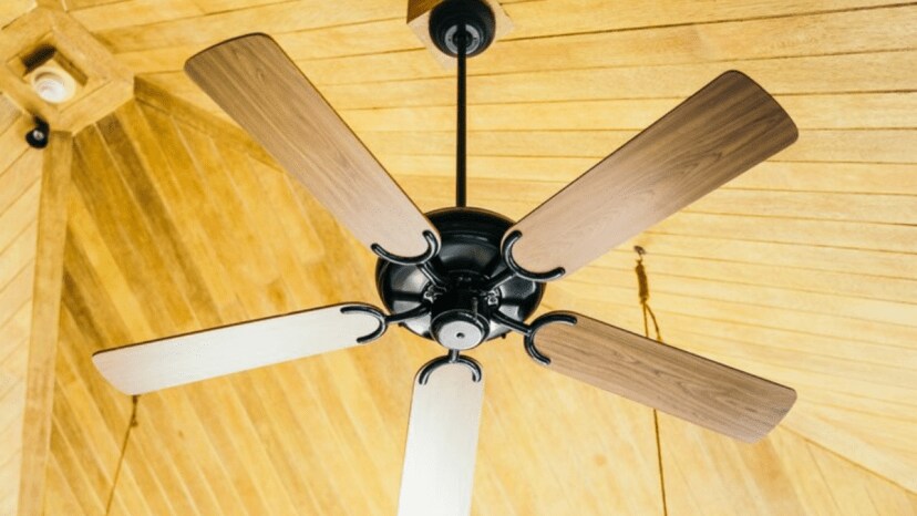 how to deal with ceiling fan irrtating noise problem