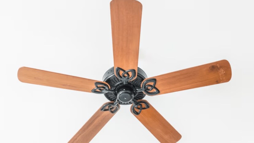 how to deal with ceiling fan irrtating noise problem