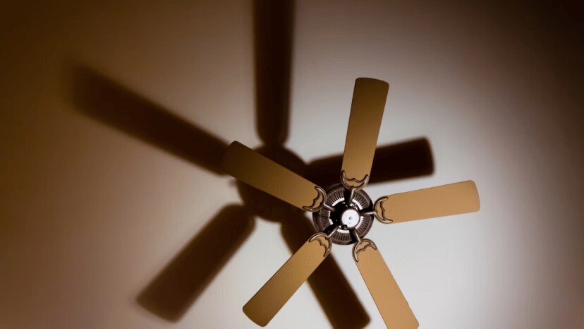 how to deal with ceiling fan irrtating noise problem