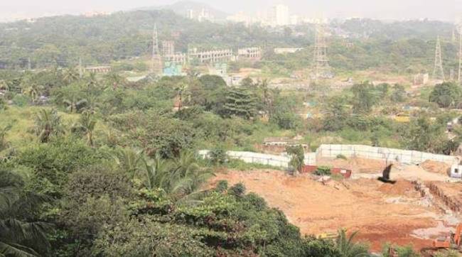 mumbai, Aarey land, to store construction materials, Metro 6
