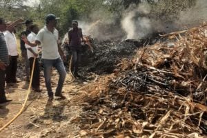 Cattle fodder was burnt due to fire in Deola taluka