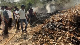 Cattle fodder was burnt due to fire in Deola taluka