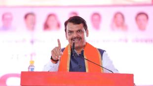 What Devendra Fadnavis Said?