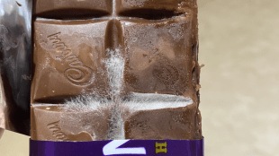Fungus found on Cadbury Dairy Milk chocolate bar sparks debate