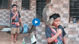 monkey Attack on child