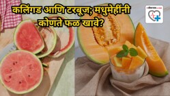 कलिंगड आणि टरबूज; मधुमेहींसाठी कोणते फळ खाणे आहे सुरक्षित? तज्ज्ञांचे काय आहे मत…