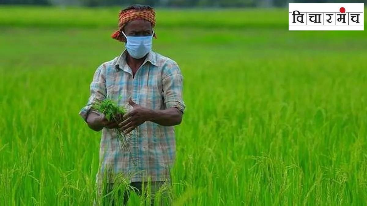 How useful was the Green Revolution really