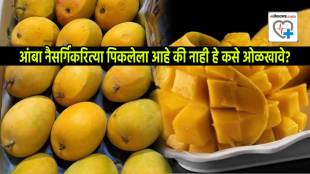 How To Identify Mangoes Without Adulteration Five Signs