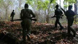 29 Naxalites killed on Chhattisgarh-Maharashtra border