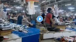 “हे कसले मासे” फिश मार्केटमध्ये दोन महिलांमध्ये तुफान राडा; एकमेकींना थेट मासे फेकून मारले, VIDEO व्हायरल