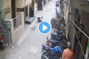 Shocking video 9 year old girl going to school was attacked by a pitbull dog