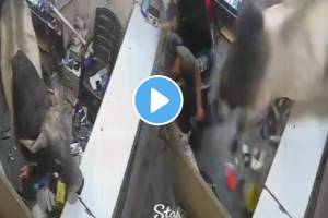 Bull jumps inside phone repairing shop people narrowly escaped death video