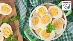 दर आठवड्याला डझनभर अंडी खाल्ली तरी वाढणार नाही कोलेस्ट्रॉल पातळी! नवे संशोधन काय सांगते? वाचा