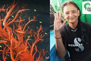 diver artist uma mani began exploring new depths to life at age 49