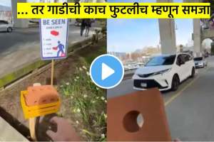 this unique way of crossing road was seen for the first time you will not stop laughing after watching video
