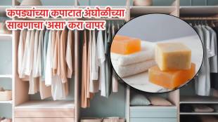 diy kitchen jugaad 4 amazing uses for a bar of soap around your home