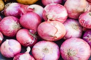 Nashik, Onion auction, Onion, Lasalgaon