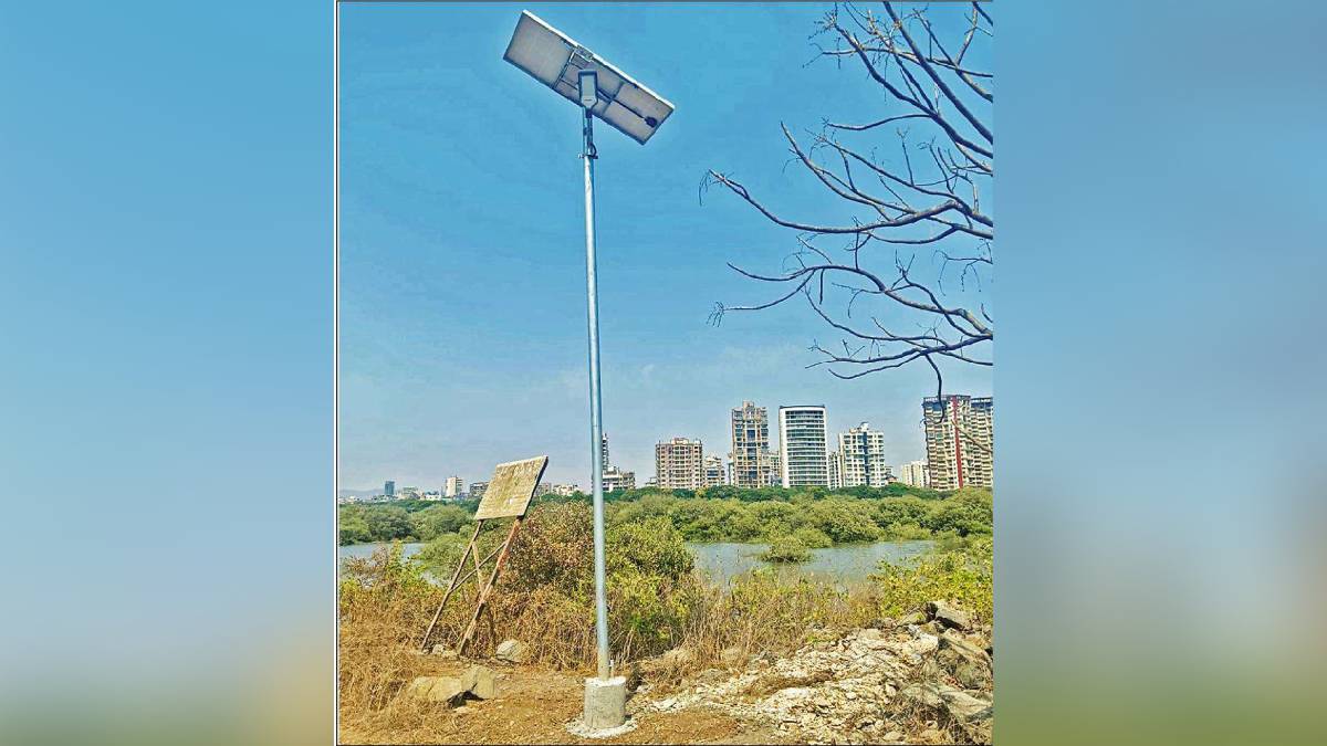 flamingo, Solar lights, Navi Mumbai ,