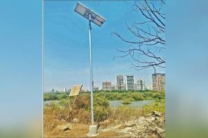 flamingo, Solar lights, Navi Mumbai ,