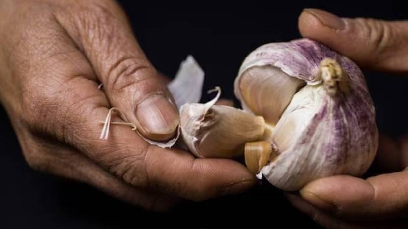 Can eating raw garlic reduce cholesterol Read what the experts say 100 gram garlic contains these nutrients 