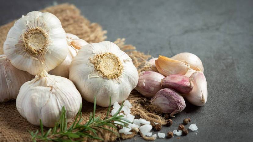 Can eating raw garlic reduce cholesterol Read what the experts say 100 gram garlic contains these nutrients 