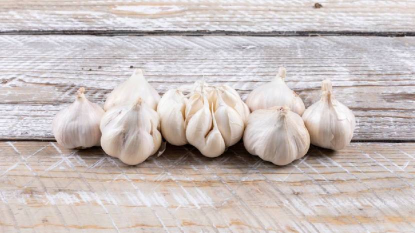 Can eating raw garlic reduce cholesterol Read what the experts say 100 gram garlic contains these nutrients