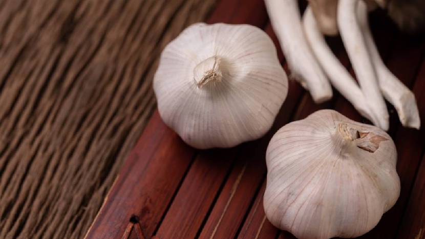 Can eating raw garlic reduce cholesterol Read what the experts say 100 gram garlic contains these nutrients 