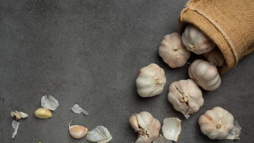 Can eating raw garlic reduce cholesterol Read what the experts say 100 gram garlic contains these nutrients 
